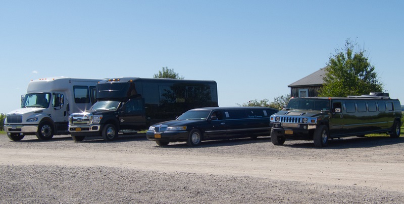 Variety of Limousines