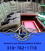 Custom Limousine Interiors