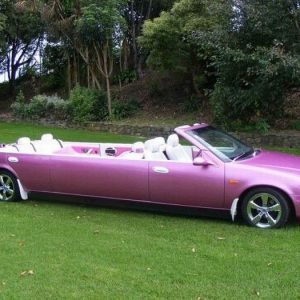 rare-stretch-convertible-limo