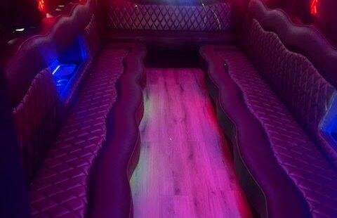 Ford E-450 white bus Party Bus Limo, Limousine #2457