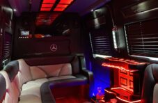 limousine service business plan pdf