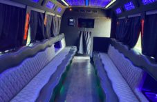 limousine service business plan pdf